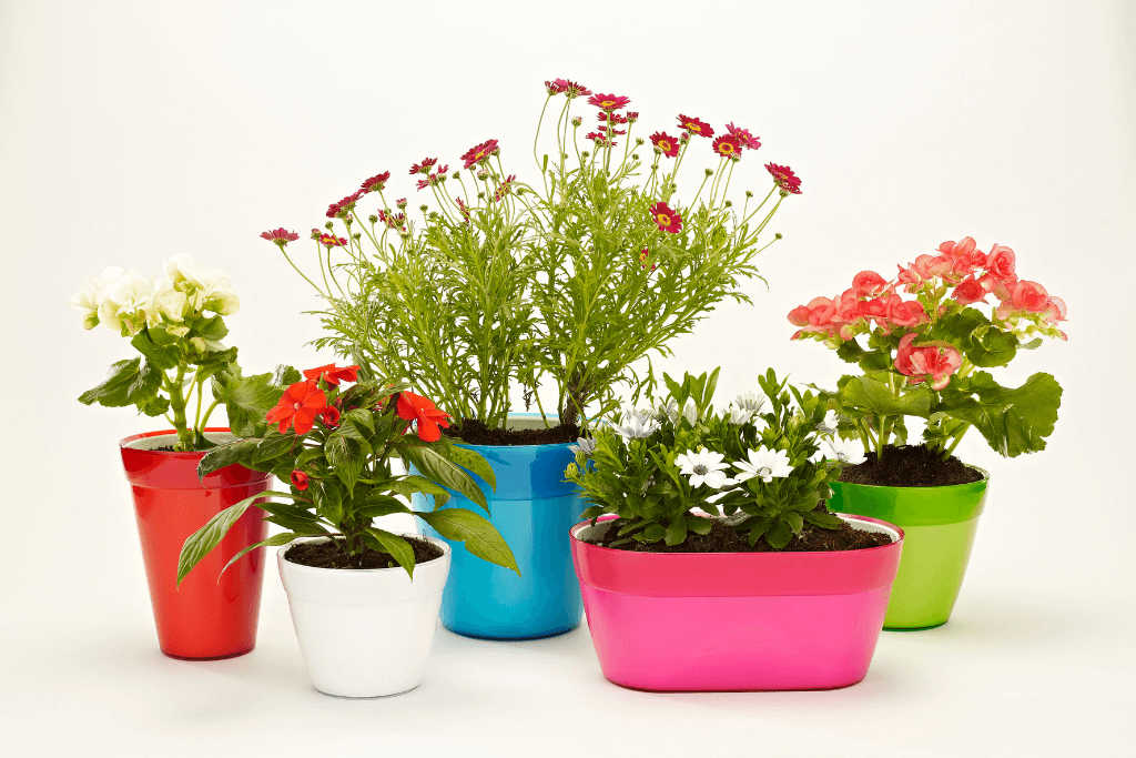 Cheap backyard makeover ideas: DIY garden pots when you pick out plants